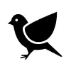 fledgeling-hi